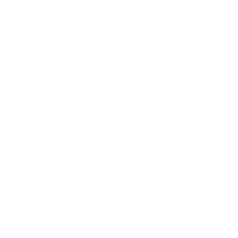IP Store